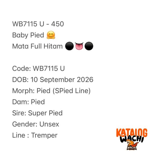 WB7115 U | Baby Pied 🤗 Mata Full Hitam ⚫️👅⚫️