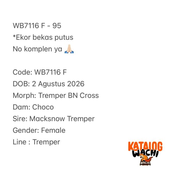 WB7116 F