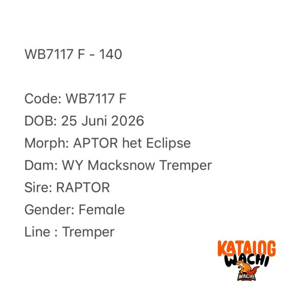 WB7117 F