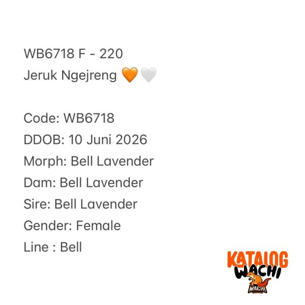 WB6719 F