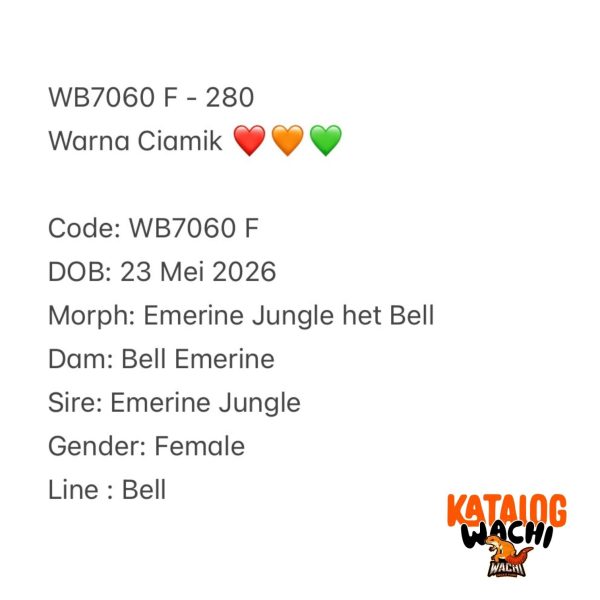 WB7060 F | Warna Ciamik ❤️🧡💚