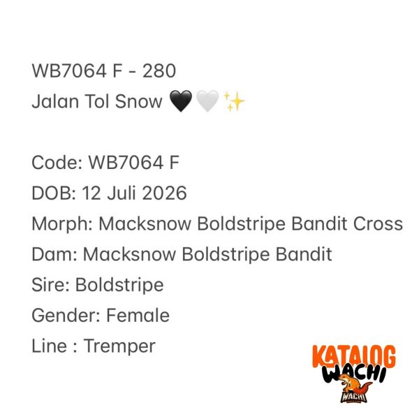 WB7064 F | Jalan Tol Snow 🖤🤍✨