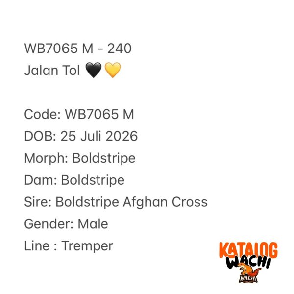 WB7065 M | Jalan Tol 🖤💛