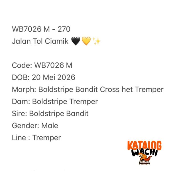 WB7026 M | Jalan Tol Ciamik 🖤💛✨