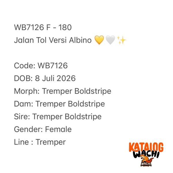 WB7126 F | Jalan Tol Versi Albino 💛🤍✨