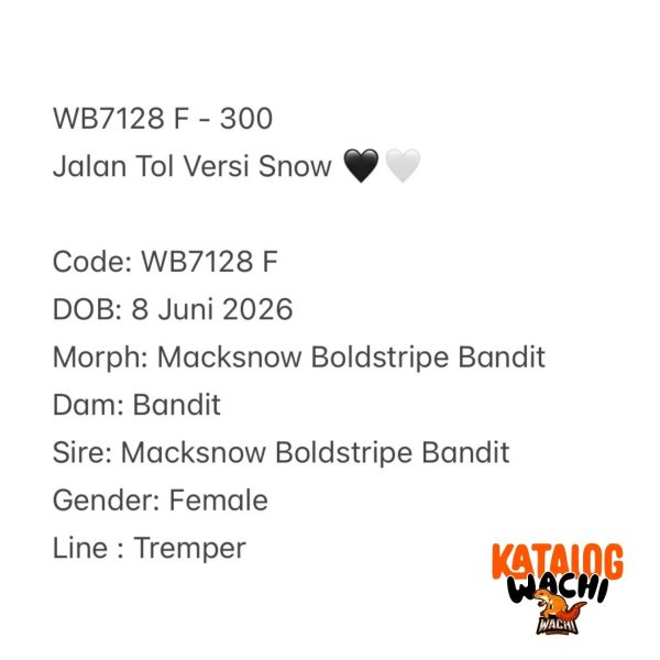 WB7128 F | Jalan Tol Versi Snow 🖤🤍
