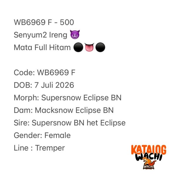 WB6969 F | Senyum2 Ireng 😈 Mata Full Hitam ⚫️👅⚫️