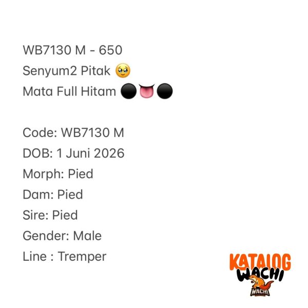 WB7130 M | Senyum2 Pitak 🥹 Mata Full Hitam ⚫️👅⚫️