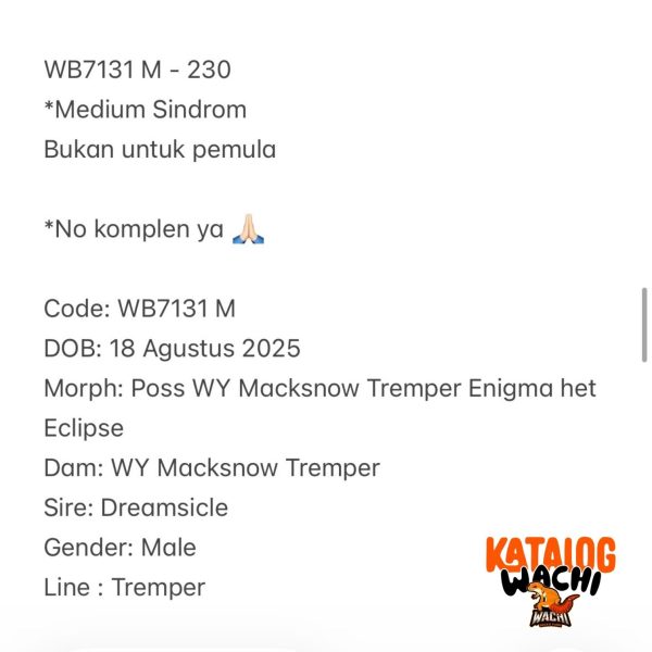 WB7131 M