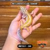 WB7133 F | Ovulasi, Siap Kawin 👌🏻